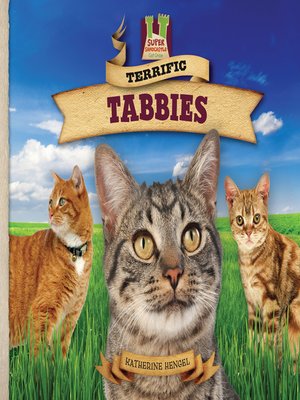 cover image of Terrific Tabbies